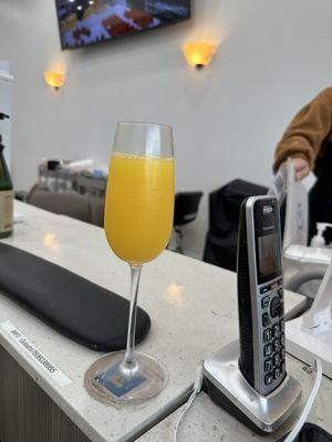 Mimosa