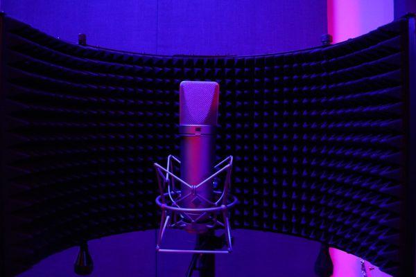 Industry Standard Microphones and equipment (Neumann U 87 Ai)