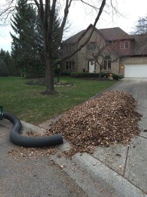 2015 Leaf Removal