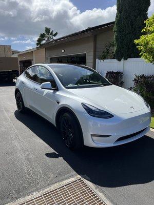 2023 model Y