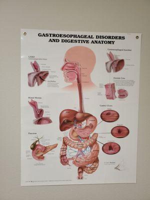 Texas Gastroenterology Institute