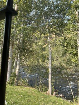 View from our RV rear window