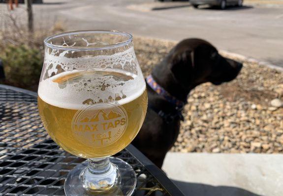 Great beer with my amazing dog Josie.