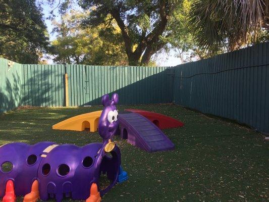 Our dogs love running around outside and playing on the play equipment!