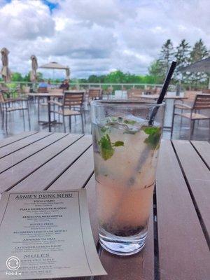 Blueberry lemonade Mojito