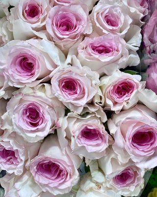 Weddings planning? 
Let us provide the flowers for your wedding day. Wholesale prices and trending colors. Roses are $18.99 For 2 dozen!