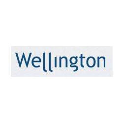 Wellington Insurance