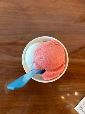 Coconut and Strawberry Sorbet (V)