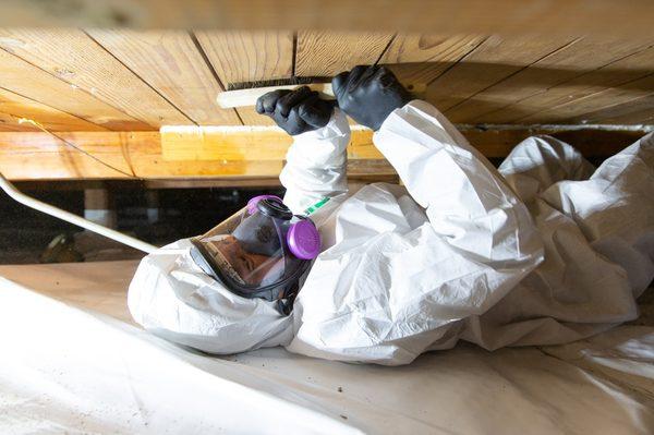 Mold Remediation in Crawlspace. - Davis, CA