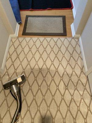 Hallway entry point cleaning