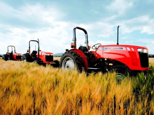 Massey Ferguson Dealer, parts and service