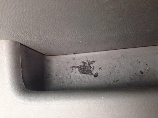 Driver door grossness