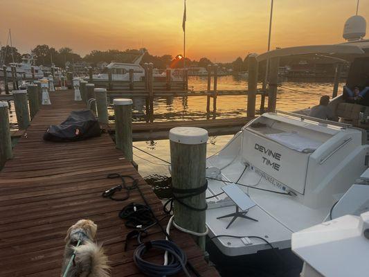 Nice docks and great staff!