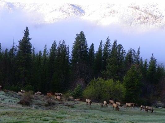 Exclusive fly in at he Eversons private ranch in the Trinity Alps. Call Christine at Air Shasta 530-222-0100.