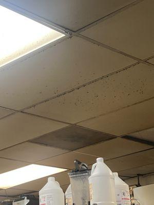 Black mold on the ceiling in the kitchen area where they prepare the food wow gross!!