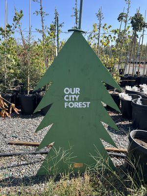 The sign in front of the tree yard