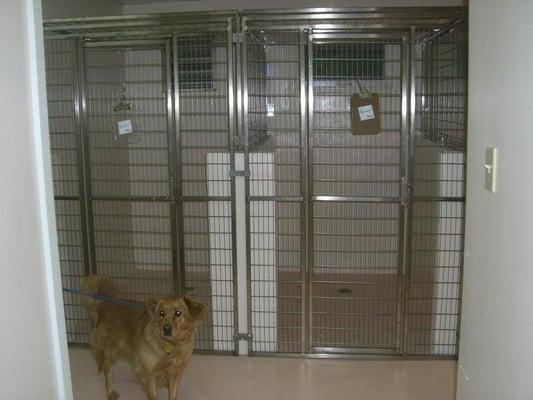 Dog kennel