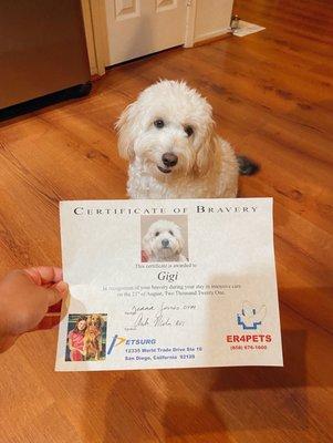 Gigi posing with her certificate of bravery!