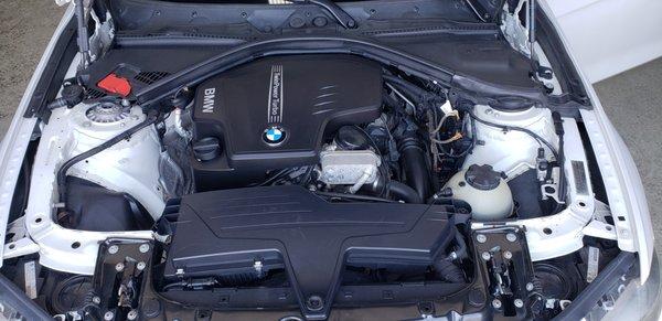 BMW 3 series came in for a wash and opted for our engine bay detail.