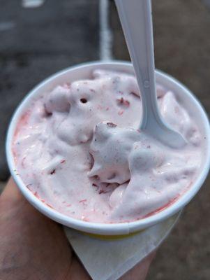 Micro Size Strawberry Concrete