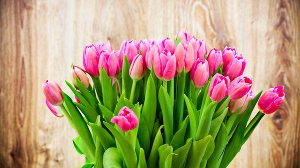 Beautiful Dutch Tulip Bouquet