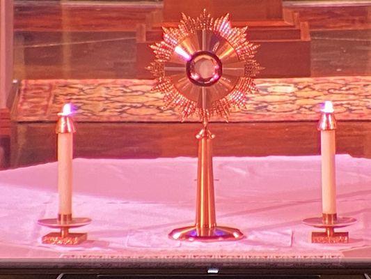 Exposition and Adoration of the Eucharist. So grateful for this online Mass