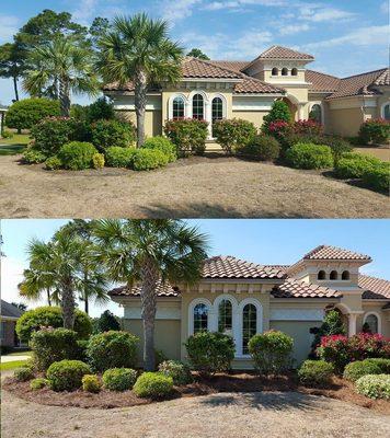 Trimmed shrubs, installed Pinestraw in Plantation Lakes.