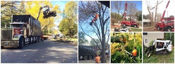 Perfect Landscape, Tree & Excavation is a tree-service leader in the Minneapolis-St. Paul area.