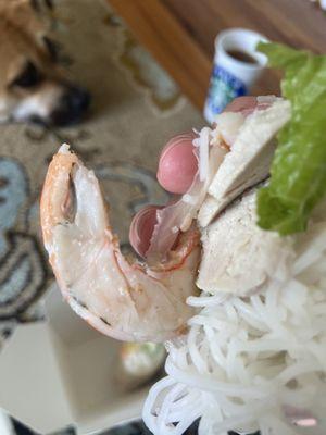 So grossed out. The shrimp in the A5. Goi Cuon was not deveined. All of them were dirty. And one still had the tail on. Fed it to my dog.