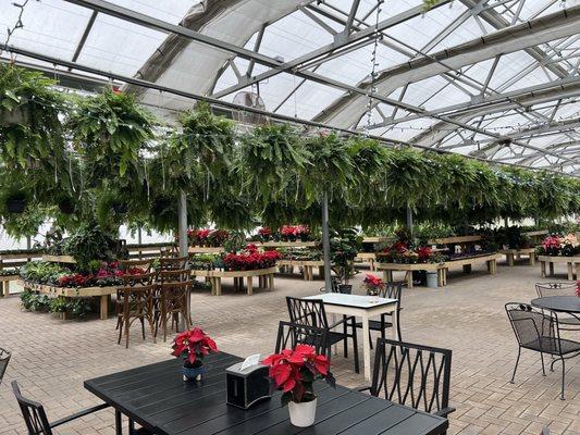 Greenhouse with plants and pots