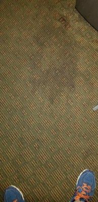 Nasty stained old carpet