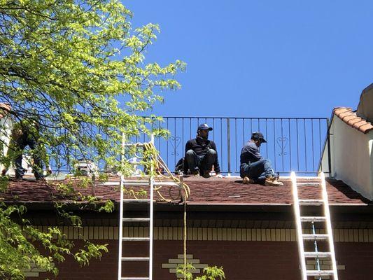 Apply new roof shingles .