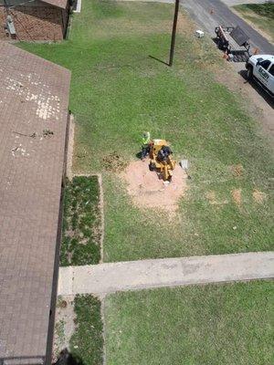 Aerial view of stump grinding.