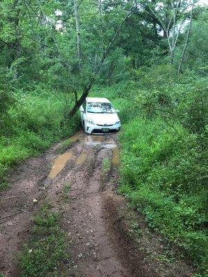 Why did I think my Toyota Prius could drive down this road? (July 2020)