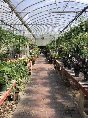 Forest Lake Greenhouses