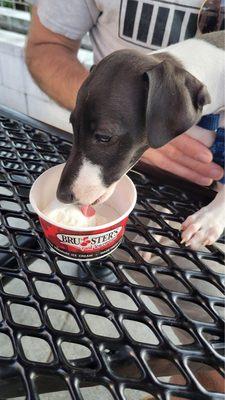 FREE Pup Cup