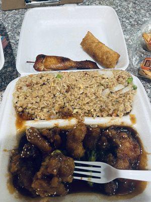 Sesame Chicken, Chicken Teriyaki Stick and Homemade Egg Roll