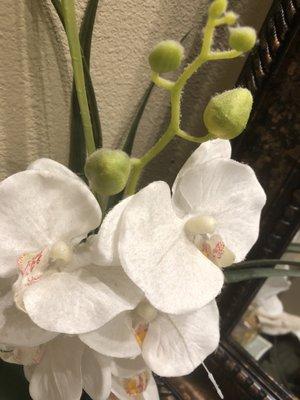 This my restroom flower after they "cleaned". Not even lightly dusted.