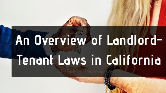 Tenant Attorney in Orange County with Knowledge of Landlord Tenant Law