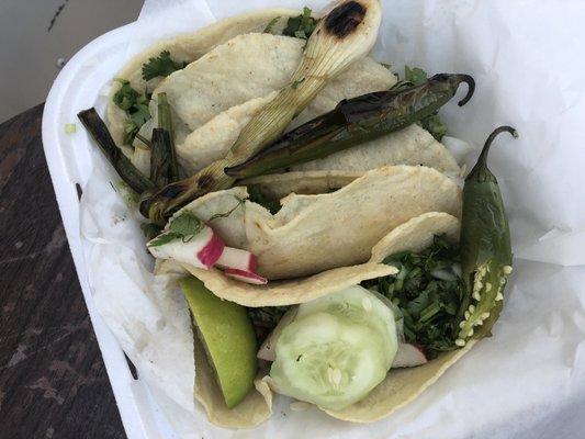 carne asada tacos with everything