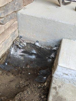 Sealing of entry point for rock(ground) squirrels that had dug under the concrete of the front porch.