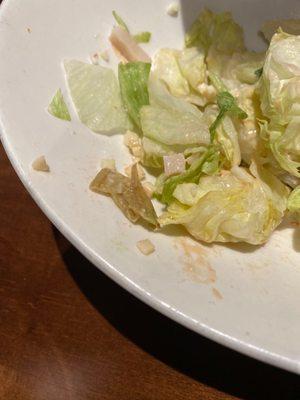 Rotten lettuce in salad