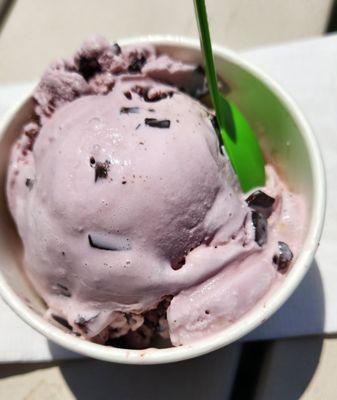 Black Raspberry Chocolate Chip