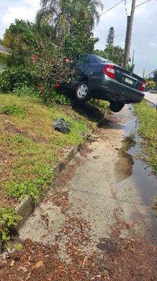 We have seen and recovered a lot of cars in odd places like this tree