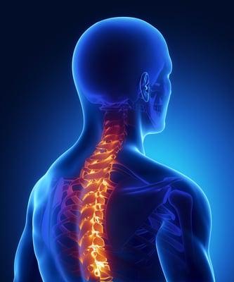 South Carolina Chiropractor in Murrells Inlet, Huntington Beach, and Garden City