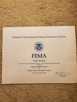 More fema course certification