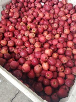 Fresh Red Delicious from Horning's.