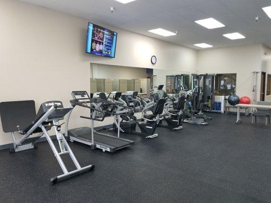 Total Gym, Treadmill, Recumbent Trainers, Freedom Trainer