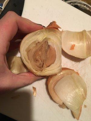 I bought this onion and cut into it the SAME day I bought it.