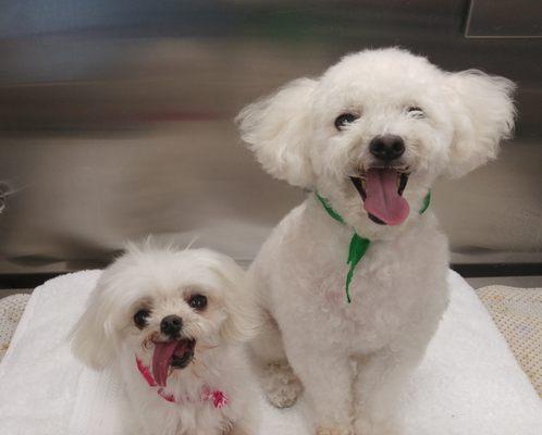 Bath together, laugh together.